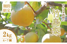 【 数量限定 早期受付 】マルミネ農園 の 竹島梨 2kg （4～7個） 国産 高知 四万十市 四万十 しまんと 梨 ナシ 幸水 豊水 凛花 なし 果物 くだもの 新鮮 農園 フルーツ デザート おやつ ジューシー 旬 産地直送 お取り寄せ 【2025年8月中旬～9月下旬発送】25-547