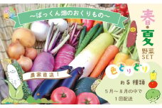24-800．【早期受付】とれたて新鮮！ぱっくん畑のおくりもの～農家直送！春・夏野菜セット（約5種類）～【2025年5月～8月の間に1回配送】