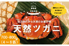 24-030．最高級天然食材！四万十川の天然ツガニ 約700g～800g（4～6匹）