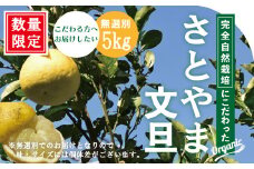 【※ご好評につき令和6年度は終了いたしました】24-505．【早期受付・期間限定・数量限定】しまんと流域　栽培期間中農薬・化学肥料不使用！さとやま文旦5kg（無選別）【2025年2月下旬～3月下旬配送】
