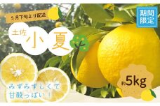 【※ご好評につき令和7年度分は終了いたしました】24-1063．【早期受付・期間限定・数量限定】爽やかな酸味がたまらない!!四万十市産ハウス小夏(贈答用) 約5kg(18～30個)【2025年5月下旬～6月下旬発送】