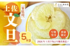 【 早期受付 期間限定 数量限定 】 土佐文旦 5kg 家庭用 人気 フルーツ 果物 文旦 ぶんたん ブンタン ジューシー 果汁 甘酸っぱい 限定品 土佐 高知県 高知 四万十市 四万十 しまんと お取り寄せ 【配送時期：2026年1月下旬～3月上旬】25-335