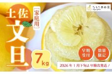 【 早期受付 期間限定 数量限定 】 土佐文旦 7kg 家庭用 人気 フルーツ 果物 文旦 ぶんたん ブンタン ジューシー 果汁 甘酸っぱい 限定品 土佐 高知県 高知 四万十市 四万十 しまんと お取り寄せ 【配送時期：2026年1月下旬～3月上旬】25-336