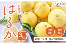 【 早期受付 期間限定 数量限定 】 はるか 3kg 家庭用 甘い 甘酸っぱい 人気 フルーツ 果物 くだもの 柑橘 みかん ミカン 高知県 高知 四万十市 四万十 しまんと 高知県産 お取り寄せ 【配送時期：2026年2月下旬～3月下旬】25-348