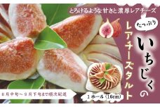 【 早期受付 数量限定 】 いちじく たっぷりの レアチーズ タルト 冷凍 国産 おすすめ ケーキ フルーツ 果物 無花果 イチジク チーズケーキ 洋菓子 高知 四万十 しまんと お取り寄せ 限定 先行 予約 スイーツ デザート 2025年8月中旬～9月下旬配送 25-422