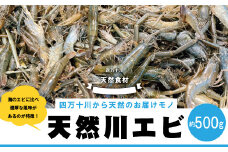 24-480．天然食材！四万十川の天然川エビ 約500g