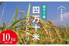 【※ご好評につき令和6年度は終了いたしました】24-945．【令和6年産】四万十産 四万十米（コシヒカリ）10kg（5kg×2袋）