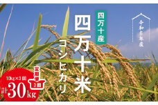 【※ご好評につき令和6年度は終了いたしました】24-946．【令和6年産・3回定期便】四万十産 四万十米（コシヒカリ）10kg（5kg×2袋）×3回（計30kg）