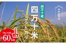 【※ご好評につき令和6年度は終了いたしました】24-947．【令和6年産・6回定期便】四万十産 四万十米（コシヒカリ）10kg（5kg×2袋）×6回（計60kg）