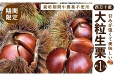 【※ご好評につき令和6年度は終了いたしました】24-742．【期間限定・早期受付・数量限定】四万十産生栗1kg（栽培期間中農薬不使用）【2024年9月上旬～10月下旬配送】