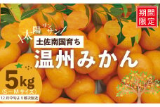 【※ご好評につき令和6年度は終了いたしました】24-502．【早期受付・期間限定・数量限定】土佐南国育ち！甘いがうまい！温州みかん 5kg【2024年12月中旬～2025年1月上旬配送】