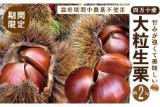 【※ご好評につき令和6年度は終了いたしました】24-744．【期間限定・早期受付・数量限定】四万十産生栗2kg（栽培期間中農薬不使用）【2024年9月上旬～10月下旬配送】