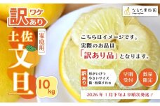 【 訳あり 早期受付 期間限定 数量限定 】 土佐文旦 10kg 家庭用 人気 フルーツ 果物 文旦 ぶんたん ブンタン 訳アリ わけあり 甘酸っぱい 柑橘 限定品 土佐 高知県 高知 四万十市 四万十 しまんと お取り寄せ 【配送時期：2026年1月下旬～3月上旬】25-724