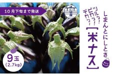 【 期間限定 】デカ！ピカ！ツル！しまんとにしとさ 米ナス 9玉（約2.7kg）国産 高知県 四万十市 四万十 しまんと 西土佐 旬 野菜 やさい 夏野菜 なす なすび 茄子 ナス 米なす 新鮮 大玉 農家 産地直送 栄養 【2025年5月中旬～10月下旬まで発送】25-413