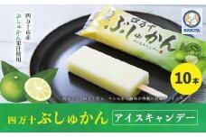 久保田食品 四万十ぶしゅかんアイスキャンデー 10本 入り 冷菓 菓子 冷凍 冷凍便 アイス アイスキャンデー スイーツ おやつ おいしい フルーツ 柑橘 果汁 四万十市産 ぶしゅかん 人気 おすすめ グルメ ご当地 お取り寄せ ギフト 夏ギフト お中元 お歳暮 贈答 25-443