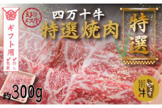 【ギフト用（包装・のし対応）】R5-976G．幻のメス牛 四万十牛特選焼肉（約300ｇ）