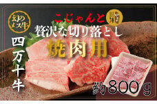 R5-019．幻のメス牛　四万十牛こじゃんと贅沢な切り落とし（焼肉用・800ｇ）
