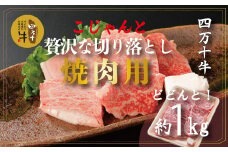 R5-979．幻の四万十牛 こじゃんと贅沢な切り落とし　焼肉用（黒毛和牛）　約1ｋｇ