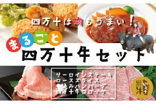 R5-021．幻のメス牛 まるごと四万十牛セット（サーロインステーキ・ローススライス・煮込みハンバーグ・四万十牛コロッケ）