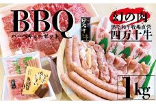 R5-720．幻のメス牛　四万十牛バーベキューセット1㎏（精肉のみ）5人前【野菜は含まれません】