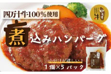 R5-400．幻のメス牛 四万十牛100％使用ジューシーな煮込みハンバーグ5個