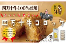 R5-015．四万十牛100％！コロッケ 10個入り（5個×2パック）