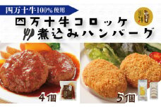 R5-017．四万十牛100%！煮込みハンバーグ・四万十牛コロッケセット （ハンバーグ4個・コロッケ5個 ）