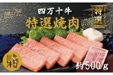 R5-977．幻のメス牛 四万十牛特選焼肉（約500ｇ）