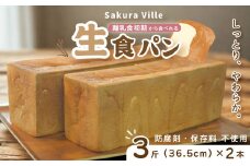 R5-355．sakura ville特製 四万十の生食パン2本セット