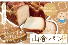 R5-354．sakura ville特製 四万十の山食パン2本セット