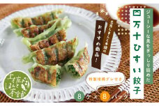 R5-1025．家(うち)に来る“高知” ジューシーな具をぎっしり詰めた手づくり!!　四万十ひすい餃子（8ケ入×8パック）・たれ付き　にんにく不使用！