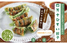 R5-1024．家(うち)に来る“高知” ジューシーな具をぎっしり詰めた手づくり!!　四万十ひすい餃子（8ケ入×4パック）・たれ付き　にんにく不使用！