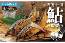 R5-839．炭火でじっくり焼いた四万十川天然鮎の塩焼き４～６匹