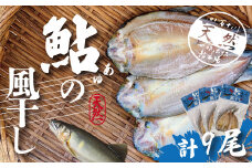 R5-489．四万十川天然鮎の風干し（干物）3尾入×3パック（合計9尾）