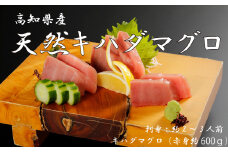 R5-999．お刺身や漬け丼に！　天然まぐろ　キハダマグロ（赤身）約600g　刺身：2～3人前