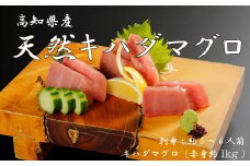 R5-1000．お刺身や漬け丼に！　天然まぐろ　キハダマグロ（赤身）約1kg　刺身：5～6人前