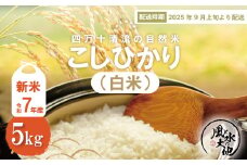 【令和7年産新米・早期受付】四万十清流の自然米　白米5kg( コシヒカリ) 国産 新米 予約 先行 こしひかり コシヒカリ 5kg 令和7年 2025年 自然米 精米 白米 米 おこめ こめ コメ ご飯 ごはん ふっくら もちもち 四国 高知 四万十 しまんと お取り寄せ 送料無料 おいしい ミネラル 酵母菌 米糠発酵肥料 【2025年9月より順次配送】25-849