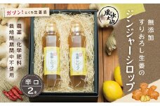 R5-706．すりおろし生姜の辛口ジンジャーシロップ2本セット