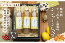 R5-707．すりおろし生姜の辛口ジンジャーシロップ３本セット