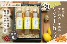 R5-707．すりおろし生姜の辛口ジンジャーシロップ３本セット