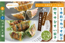 R5-013．家(うち)に来る“高知” ジューシーな具をぎっしり詰めた手づくり!!　四万十ひすい餃子・一本釣りかつお餃子（8ヶ×2パック×2種）　タレ付き　にんにく不使用！
