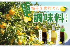 R5-353．四万十ゆずの調味料セット（焼肉のタレ・ドレッシング・シロップ）