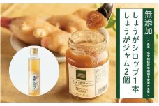 R5-669．しょうがシロップ＋しょうがジャム2個セット