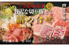 R5-020．幻のメス牛　四万十牛こじゃんと贅沢な詰め合せ(焼肉用・すき焼き用)計800ｇ
