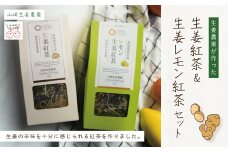 【 山﨑生姜農園 】 生姜農家 が作った 生姜紅茶 ＆ 生姜レモン紅茶 セット ティーパック 茶葉 お茶 紅茶 生姜 しょうが ショウガ ジンジャー レモン れもん おいしい ドリンク 飲料 高知県 高知 四万十市 四万十 しまんと 25-329