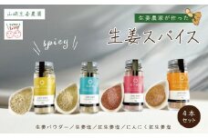 【 山﨑生姜農園 】 生姜農家 が作った 生姜スパイス 4本 セット （ 生姜塩・紅生姜塩・にんにく紅生姜塩・生姜パウダー） 粉末 パウダー 調味料 スパイス 塩 しお 生姜 しょうが ショウガ ジンジャー にんにく ニンニク 高知県 高知 四万十市 四万十 しまんと 25-328