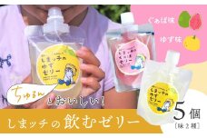 しまッチ の 飲むゼリー 5個 常温便 冷やして おいしい ゼリー フルーツゼリー ドリンク スイーツ おやつ プルプル ゆず ユズ 柚子 ぐぁば グァバ 香料不使用 果実味 清涼感 夏のおやつ 暑さ対策 お取り寄せ 高知県 高知 四万十市 四万十 しまんと 24-84