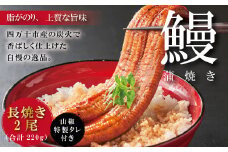 R5-366．＜四万十食品＞うなぎ蒲焼　長焼2尾／ＢＣ