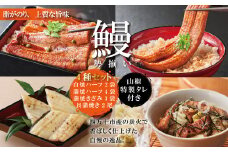 R5-364．＜四万十食品＞うなぎ三昧　長尾2尾＋ハーフ4袋＋きざみ3袋＋白焼ハーフ2袋／Ｅ