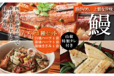 R5-365．＜四万十食品＞うなぎ蒲焼　ハーフ８袋＋きざみ４袋＋白焼ハーフ４袋／Ｆ